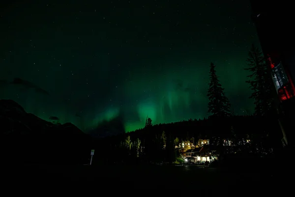 加拿大贾斯珀绿色北极光的迷人景色和树木的轮廓 — 图库照片