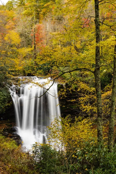Eine Vertikale Aufnahme Von Dry Falls Wald North Carolina Usa — Stockfoto