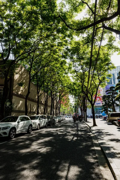 Verde Vegetação Cidade Subindo Paredes Com Luz Solar — Fotografia de Stock