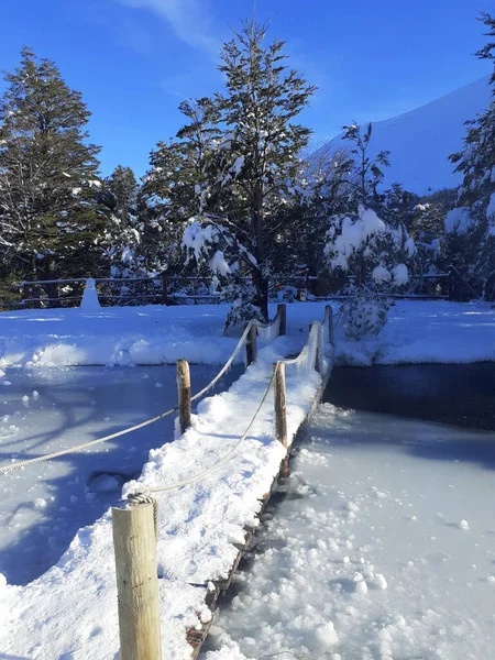 Eine Vertikale Aufnahme Einer Schmalen Schneebedeckten Holzbrücke Über Einen Zugefrorenen — Stockfoto