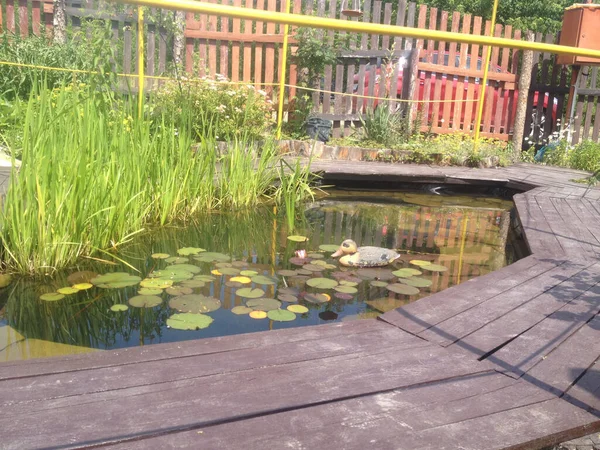 Decorative Pond Artificial Duck — Stock Photo, Image