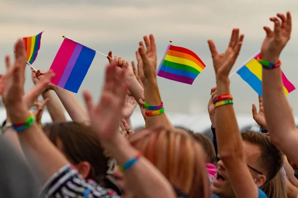 Una Multitud Personas Celebrando Ondeando Varias Banderas Orgullo Rochester Reino —  Fotos de Stock