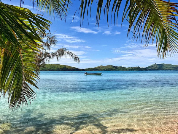 Krásný Výhled Oceán Palmovými Větvemi Popředí — Stock fotografie