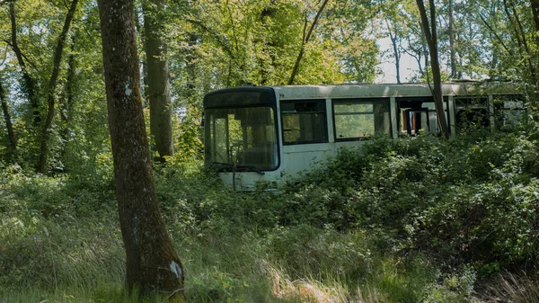 Ein Schöner Blick Auf Einen Verlassenen Bus Einem Wald Einem — Stockfoto