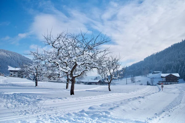 Malowniczy Widok Drogę Pokrytą Śniegiem Przed Gołymi Drzewami Domami Zboczu — Zdjęcie stockowe