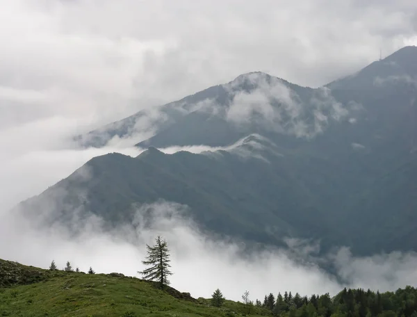 Ein Faszinierender Blick Auf Die Grünen Berge Einem Nebligen Tag — Stockfoto