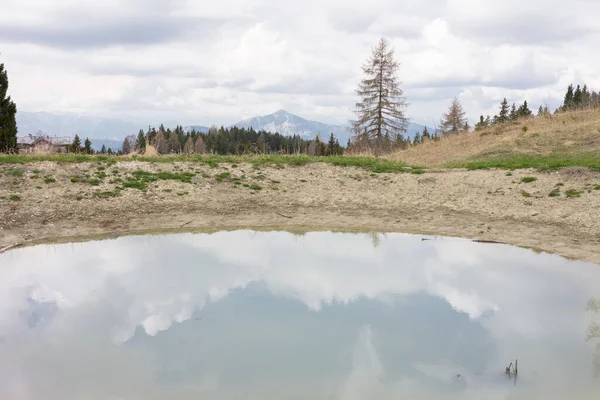 Lac Miroir Une Forêt Sapins Verts Par Temps Nuageux — Photo