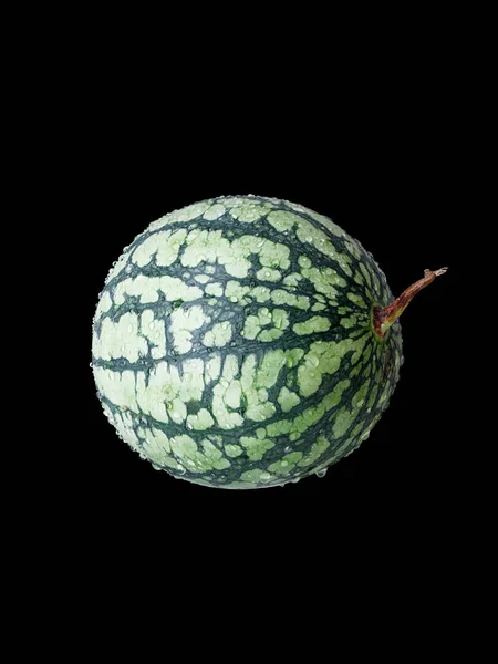 Een Close Shot Van Een Watermeloen Citrullus Lanatus Met Watergroplets — Stockfoto