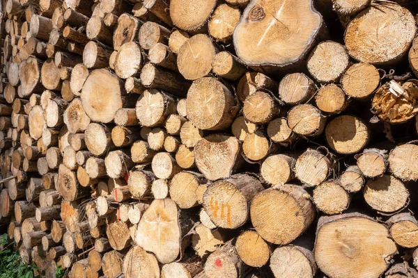 Una Pila Troncos Madera Dispuestos Pilas Una Zona Rural Luz —  Fotos de Stock