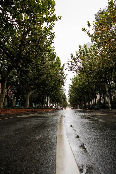 暗い日に上海市内の木々や公園に囲まれた道路の垂直ショット — ストック写真