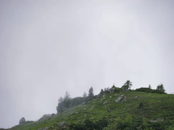 Zielone Wzgórza Przeciwko Szaremu Zachmurzonemu Niebu Velika Planina Słowenia — Zdjęcie stockowe