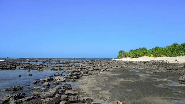 Sebuah Pemandangan Indah Orang Orang Pantai Berlumpur Dikelilingi Dengan Pohon — Stok Foto