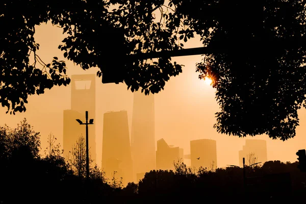 Потрясающий Вид Шанхайские Небоскребы Реки Время Восхода Солнца Сквозь Деревья — стоковое фото