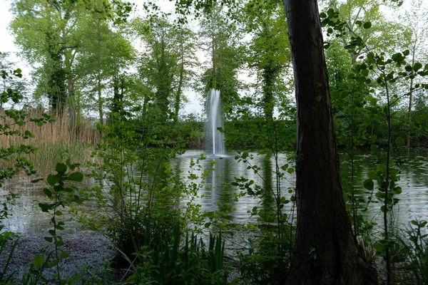 公園内の木々や植物に囲まれた湖 — ストック写真