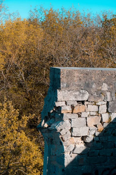 Piękny Widok Starej Ceglanej Ściany Lesie Słoneczny Dzień — Zdjęcie stockowe