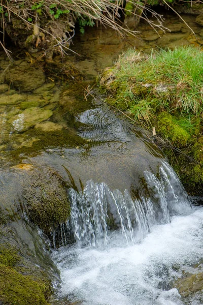 Yosun kaplı kayalık nehrin güzel bir görüntüsü.