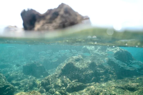 Altı Mercanlarının Güzel Bir Görüntüsü Arka Planda Kayalık Bir Oluşum — Stok fotoğraf