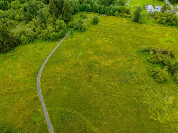 Hochwinkelaufnahme Der Grünen Feldbäume Und Straßen Auf Einer Seite — Stockfoto