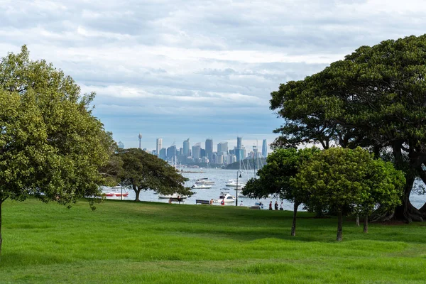 Het Prachtige Groene Park Tegen Het Sydney Stadsgezicht Australië — Stockfoto