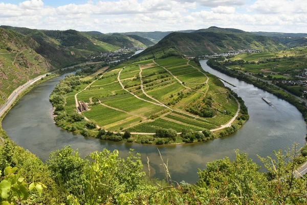 Vue Aérienne Boucle Moselle Entourée Verdure Vignobles Allemagne — Photo