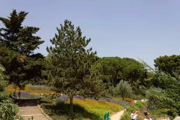 高い木と花と人々が写真を撮るバルセロナのパーク グエルの高い角度のショット — ストック写真