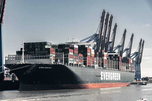 Una Nave Container Sempreverde Sul Porto — Foto Stock