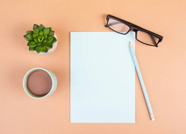 Papier Vide Avec Stylo Une Tasse Café Des Lunettes Cactus — Photo