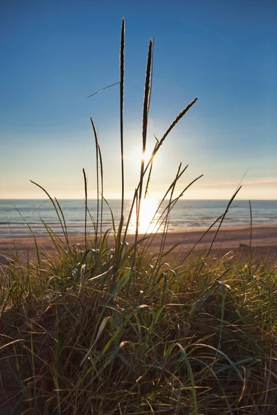 Vertikal Bild Ett Vackert Hav Solnedgången — Stockfoto
