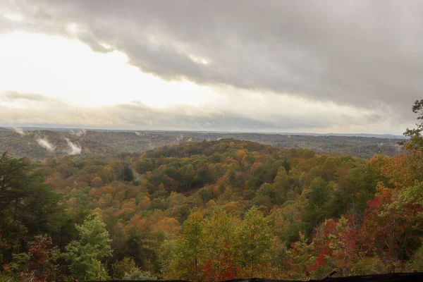 Die Herbstlandschaft Abend Bewölkter Himmel Sonnenschein Und Bunte Bäume Wald — Stockfoto