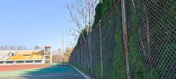 Uma Barreira Alta Atrás Árvores Uma Paisagem Estádio — Fotografia de Stock