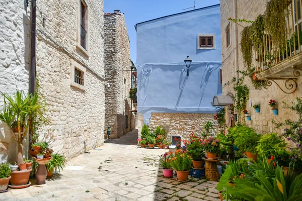 Mała Uliczka Casamassima Wieś Niebieskimi Domami Regionie Puglia Włoszech — Zdjęcie stockowe