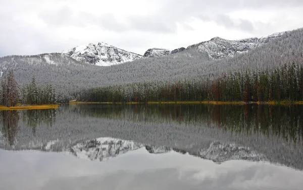 水面に映る木々や山の風景が静かな湖の自然風景 — ストック写真