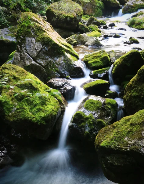森の中の苔むした岩の上を流れる川の垂直長時間露光 — ストック写真