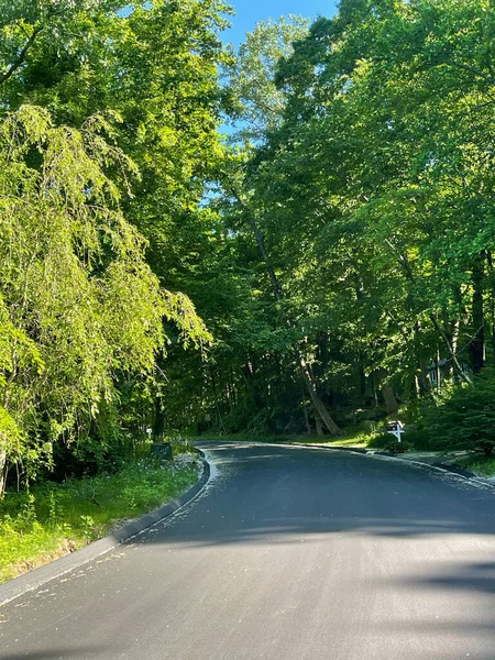 Tiro Vertical Uma Estrada Vazia Cercada Por Árvores Durante Dia — Fotografia de Stock