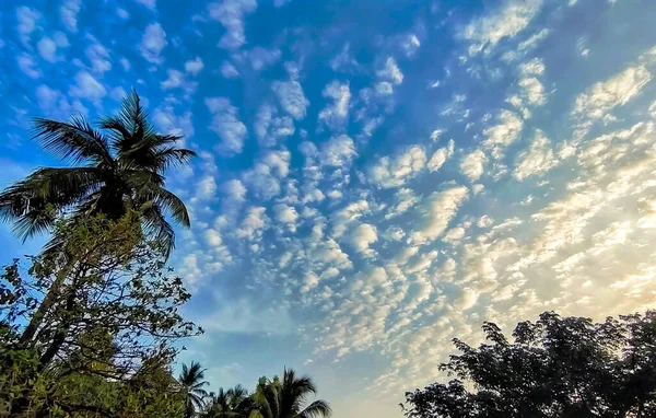 Fotografi Pemandangan Indah Langit Pagi Hari — Stok Foto