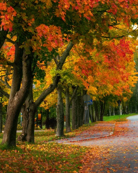 Une Belle Vue Sur Les Arbres Automne Colorés Vaasa Finlande — Photo