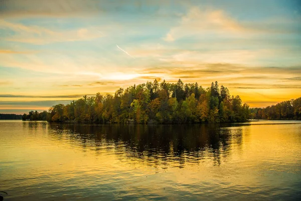 Ein Schöner Blick Auf Einen Wald Mit Einem See Unter — Stockfoto