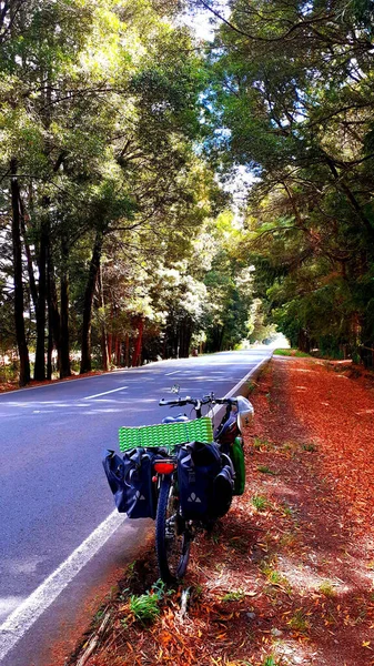 停在被树木环绕的公路边的一辆自行车的垂直镜头 — 图库照片