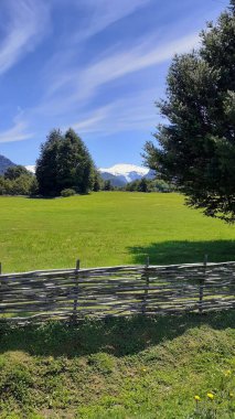 Şili 'nin güneyinde güneşli bir günde mavi gökyüzünün altında yeşil bir çayırın dikey görüntüsü.