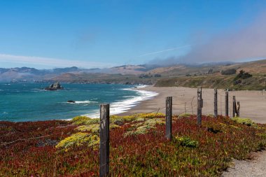 Bach 'ın renkli bitkilerinde güzel bir tahta çit manzarası.