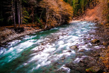 Sonbaharda gün boyunca bir ormanda şelalenin büyüleyici bir görüntüsü.