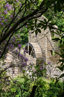 Jesmond Dene 'deki eski değirmen, Newcastle Tyne, İngiltere' de, şelalenin yanında.