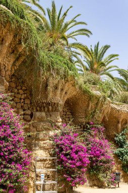 Barselona, İspanya 'daki Park Guell' in güzel ağaçları