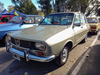 Quilmes, Arjantin - 29 Mayıs 2022: Eski gri popüler aile ekonomisi Renault 12 sedan 1975 bir parkta. Doğa, ağaçlar. Klasik araba şovu..