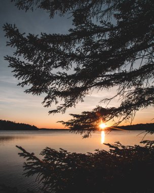 Gün batımında güzel bir denizin dikey çekimi.