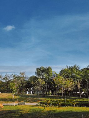 Mavi gökyüzünün altındaki yeşil park alanının dikey görüntüsü.