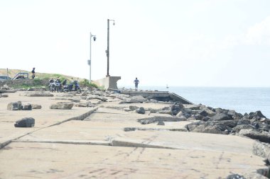 Sahilin gün ışığında, plaj koruması ile çekilmiş bir fotoğrafı.