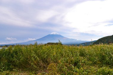Ormanın yakınındaki güzel bir dağın alçak açılı görüntüsü.