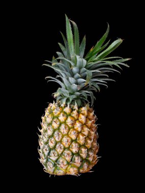 Siyah arkaplanda izole edilmiş bir Ananas (Ananas comosus) yakın plan çekimi