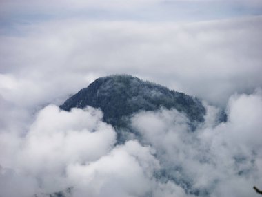 Slovenya 'nın Velika Planina kentindeki ormanlı dağların hava manzarası